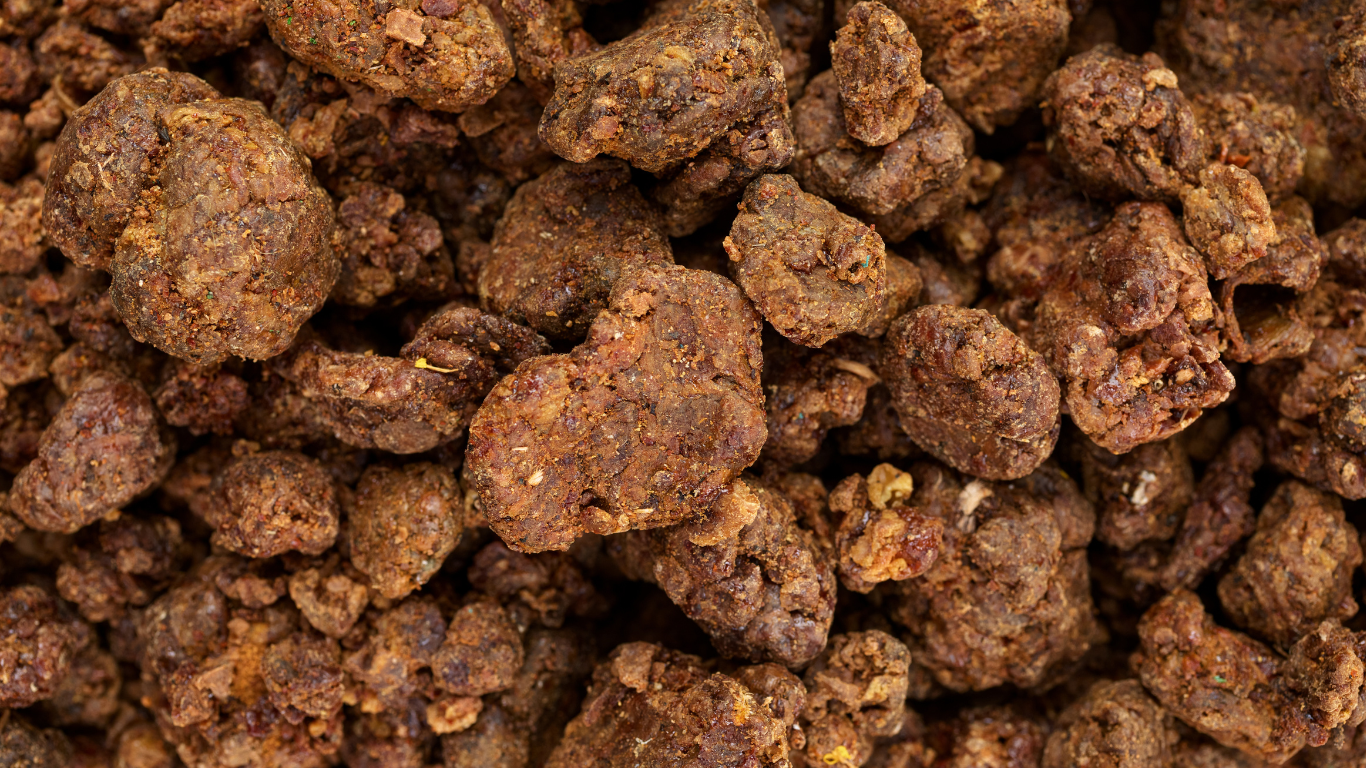 Propolis - What Is It? What Makes it So Special?